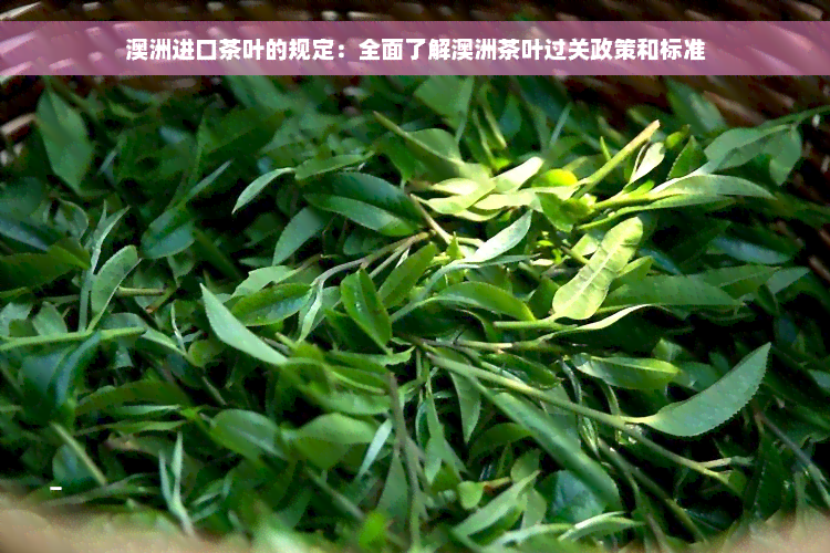 澳洲进口茶叶的规定：全面了解澳洲茶叶过关政策和标准