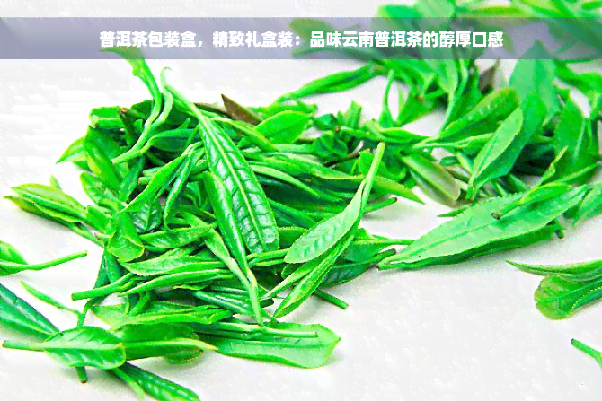 普洱茶包装盒，精致礼盒装：品味云南普洱茶的醇厚口感