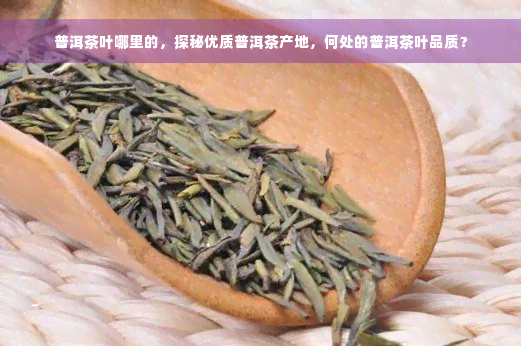 普洱茶叶哪里的，探秘优质普洱茶产地，何处的普洱茶叶品质？