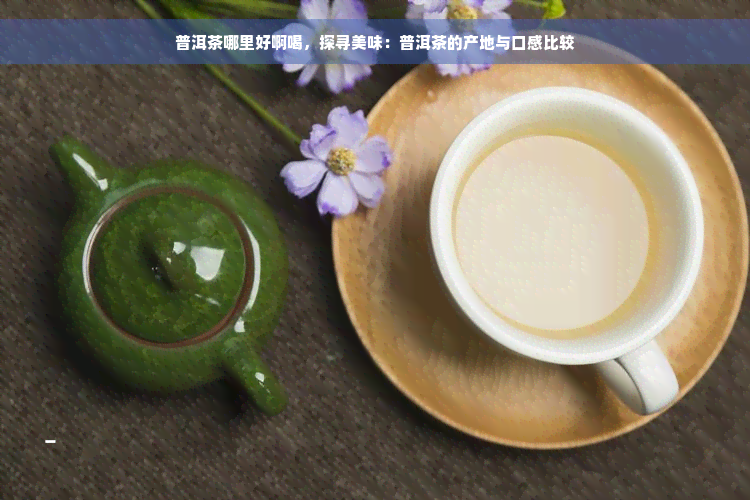 普洱茶哪里好啊喝，探寻美味：普洱茶的产地与口感比较