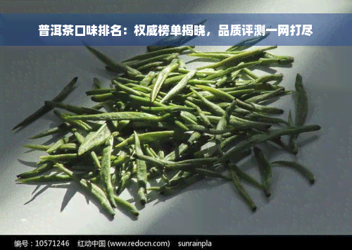 普洱茶口味排名：权威榜单揭晓，品质评测一网打尽