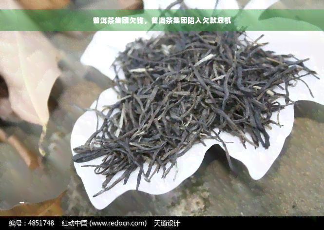 普洱茶集团欠钱，普洱茶集团陷入欠款危机