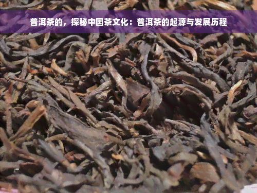 普洱茶的，探秘中国茶文化：普洱茶的起源与发展历程