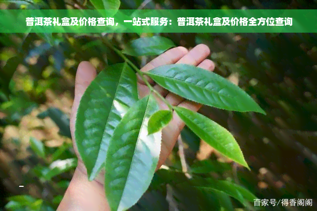 普洱茶礼盒及价格查询，一站式服务：普洱茶礼盒及价格全方位查询