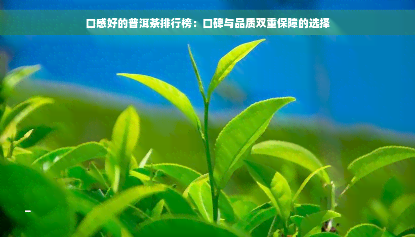 口感好的普洱茶排行榜：口碑与品质双重保障的选择