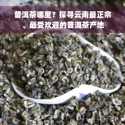 普洱茶哪里？探寻云南最正宗、更受欢迎的普洱茶产地