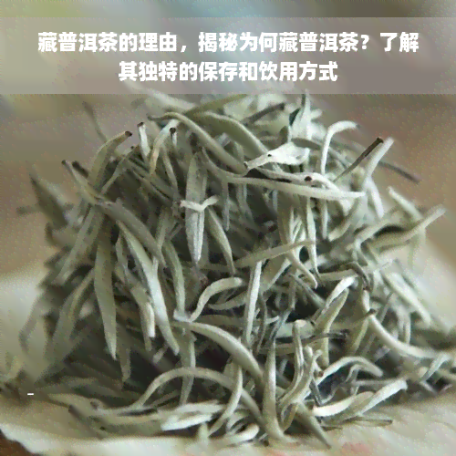 藏普洱茶的理由，揭秘为何藏普洱茶？了解其独特的保存和饮用方式