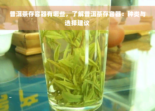 普洱茶存容器有哪些，了解普洱茶存容器：种类与选择建议