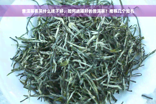 普洱茶要买什么牌子好，如何选择好的普洱茶？推荐几个知名