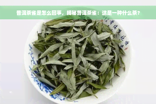 普洱茶雀是怎么回事，揭秘普洱茶雀：这是一种什么茶？