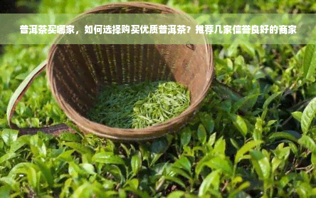 普洱茶买哪家，如何选择购买优质普洱茶？推荐几家信誉良好的商家