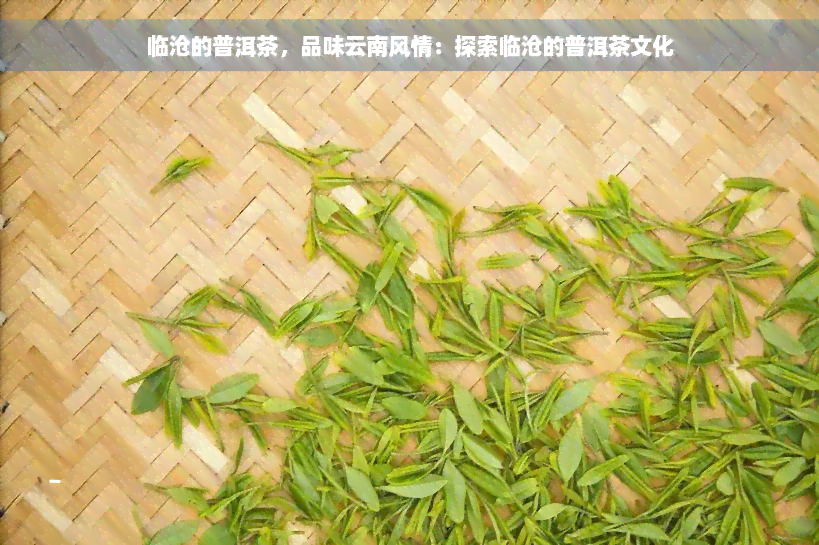 临沧的普洱茶，品味云南风情：探索临沧的普洱茶文化