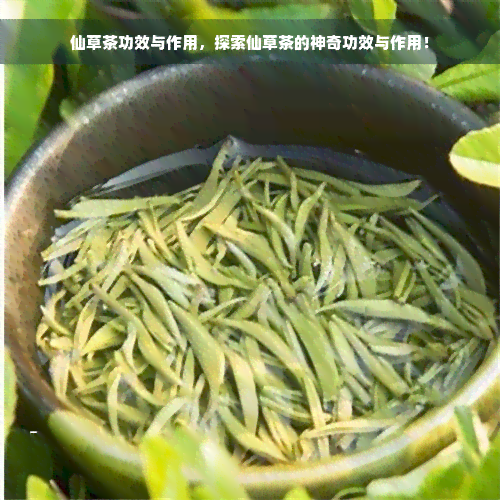 仙草茶功效与作用，探索仙草茶的神奇功效与作用！