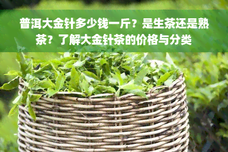 普洱大金针多少钱一斤？是生茶还是熟茶？了解大金针茶的价格与分类