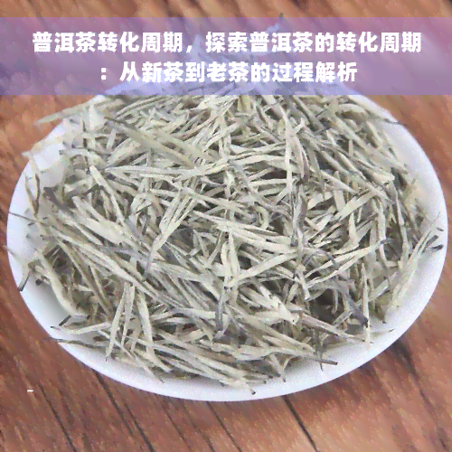 普洱茶转化周期，探索普洱茶的转化周期：从新茶到老茶的过程解析