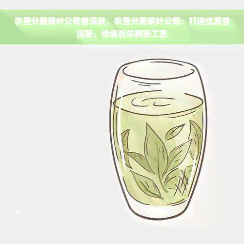 农垦分局茶叶公司普洱茶，农垦分局茶叶公司：打造优质普洱茶，传承百年制茶工艺