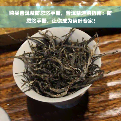 购买普洱茶防忽悠手册，普洱茶选购指南：防忽悠手册，让你成为茶叶专家！