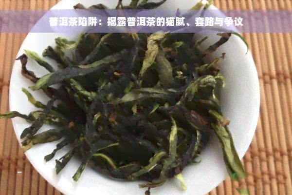 普洱茶陷阱：揭露普洱茶的猫腻、套路与争议