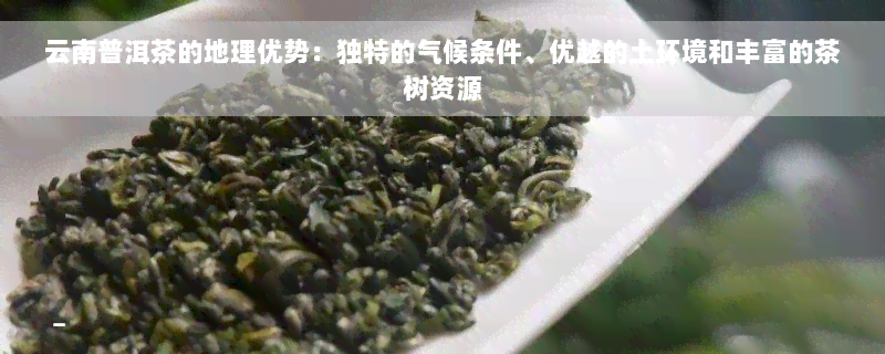 云南普洱茶的地理优势：独特的气候条件、优越的土环境和丰富的茶树资源