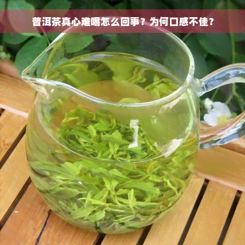 普洱茶真心难喝怎么回事？为何口感不佳？