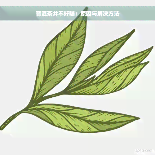 普洱茶并不好喝：原因与解决方法