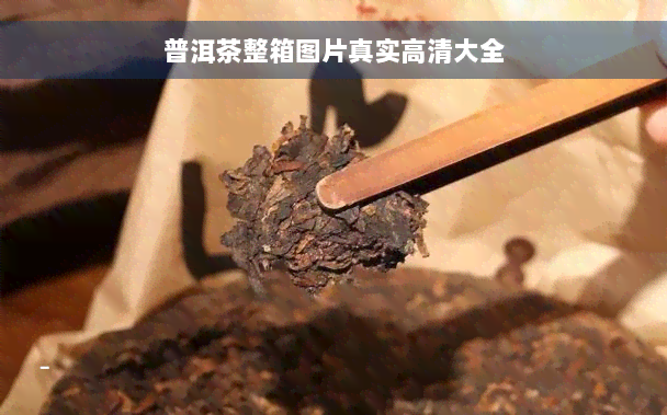 普洱茶整箱图片真实高清大全