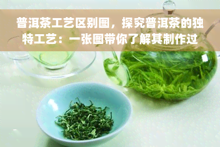 普洱茶工艺区别图，探究普洱茶的独特工艺：一张图带你了解其制作过程的差别