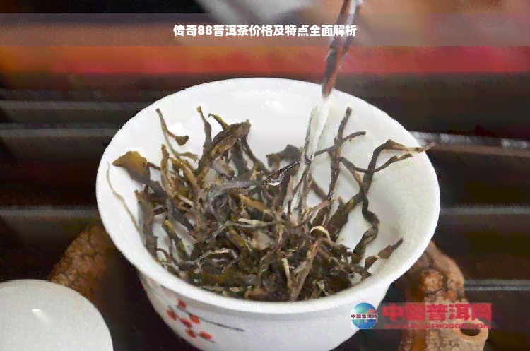 传奇88普洱茶价格及特点全面解析