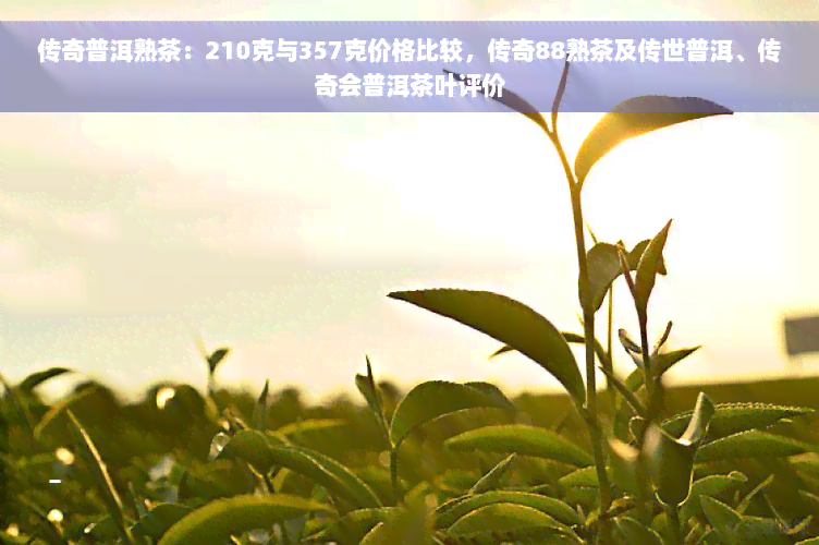 传奇普洱熟茶：210克与357克价格比较，传奇88熟茶及传世普洱、传奇会普洱茶叶评价