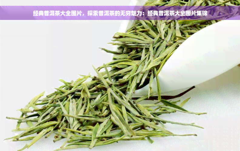 经典普洱茶大全图片，探索普洱茶的无穷魅力：经典普洱茶大全图片集锦