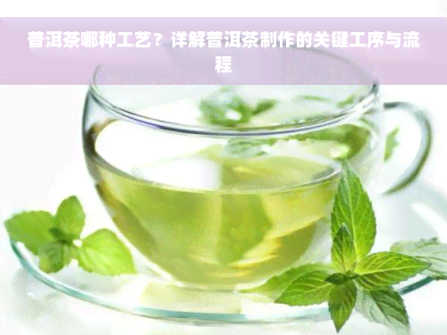 普洱茶哪种工艺？详解普洱茶制作的关键工序与流程