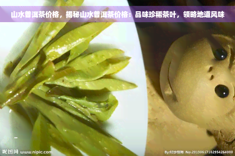 山水普洱茶价格，揭秘山水普洱茶价格：品味珍稀茶叶，领略地道风味