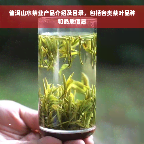 普洱山水茶业产品介绍及目录，包括各类茶叶品种和品质信息