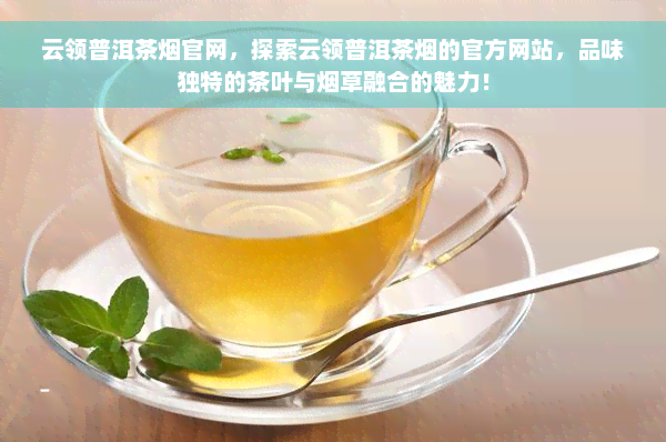 云领普洱茶烟官网，探索云领普洱茶烟的官方网站，品味独特的茶叶与烟草融合的魅力！