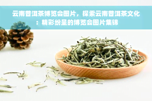 云南普洱茶博览会图片，探索云南普洱茶文化：精彩纷呈的博览会图片集锦