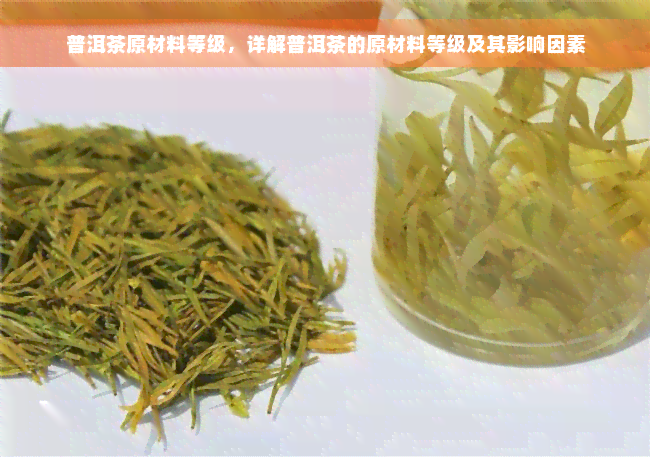 普洱茶原材料等级，详解普洱茶的原材料等级及其影响因素