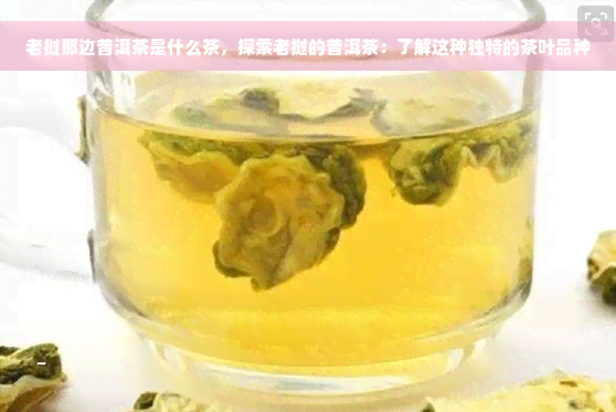 老挝那边普洱茶是什么茶，探索老挝的普洱茶：了解这种独特的茶叶品种