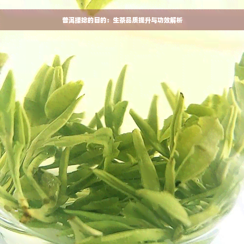 普洱揉捻的目的：生茶品质提升与功效解析