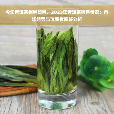 今年普洱茶销量如何，2023年普洱茶销售情况：市场趋势与消费者偏好分析