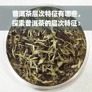 普洱茶层次特征有哪些，探索普洱茶的层次特征：从色泽到口感，一一解析