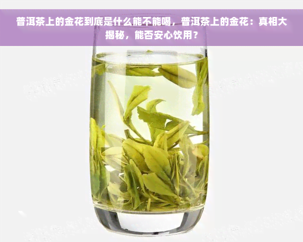 普洱茶上的金花到底是什么能不能喝，普洱茶上的金花：真相大揭秘，能否安心饮用？