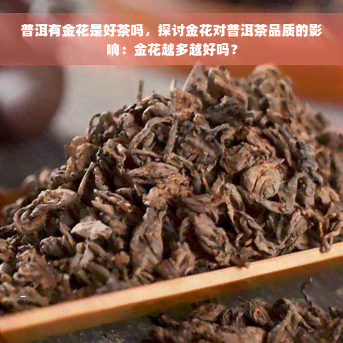 普洱有金花是好茶吗，探讨金花对普洱茶品质的影响：金花越多越好吗？