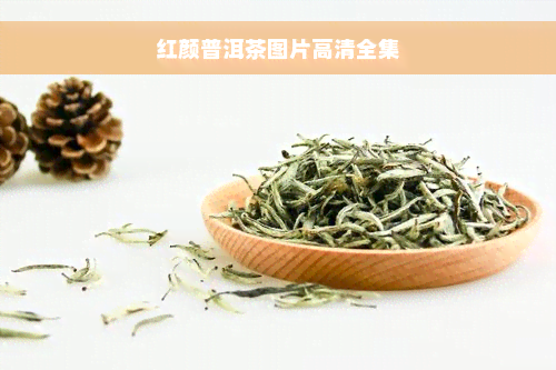 红颜普洱茶图片高清全集