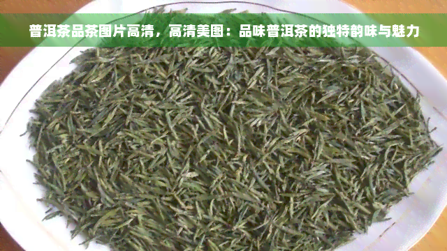 普洱茶品茶图片高清，高清美图：品味普洱茶的独特韵味与魅力