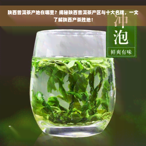 陕西普洱茶产地在哪里？揭秘陕西普洱茶产区与十大名牌，一文了解陕西产茶胜地！