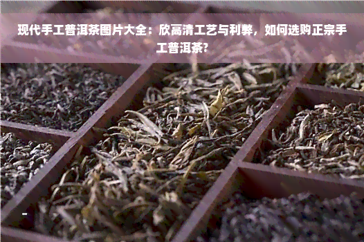 现代手工普洱茶图片大全：欣高清工艺与利弊，如何选购正宗手工普洱茶?