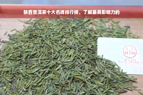 陕西普洱茶十大名牌排行榜，了解更具影响力的