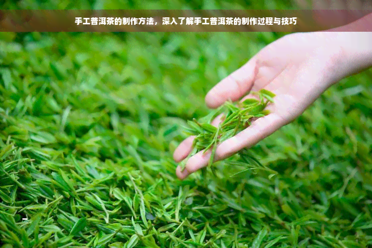 手工普洱茶的制作方法，深入了解手工普洱茶的制作过程与技巧