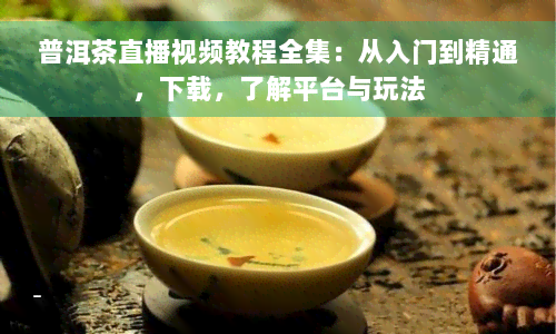 普洱茶直播视频教程全集：从入门到精通，下载，了解平台与玩法