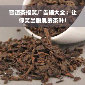 普洱茶搞笑广告语大全：让你笑出腹肌的茶叶！